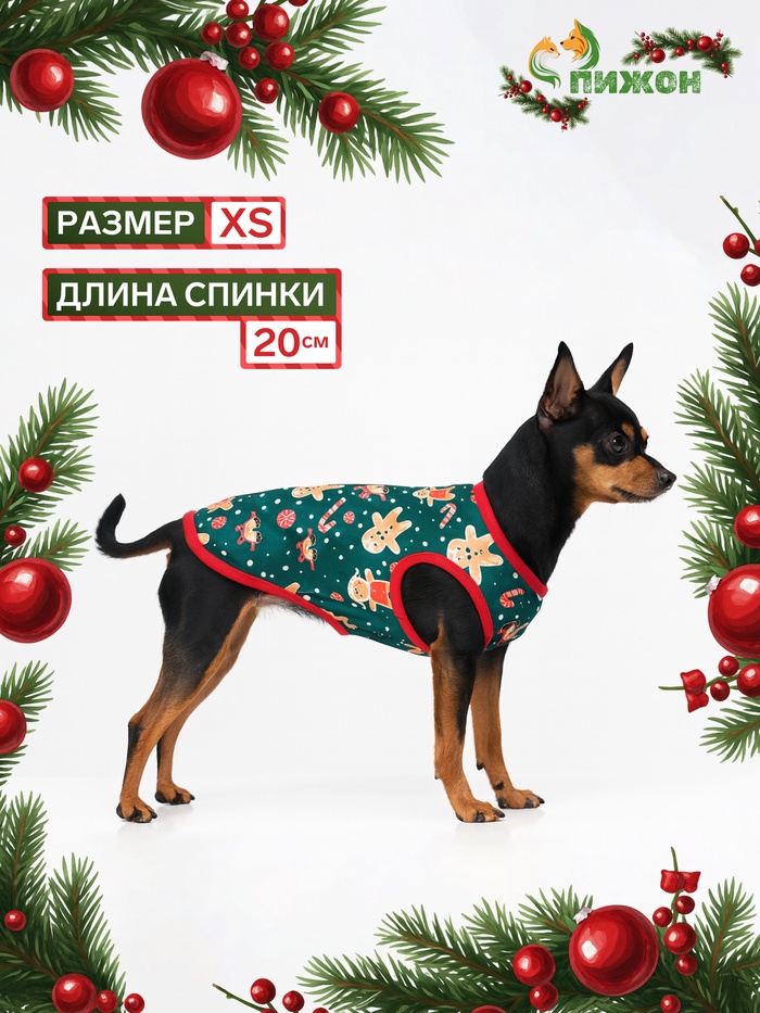 Толстовка для собак «Пряня», размер XS (ДС 20, ОШ 20, ОГ 30 см), зелёная