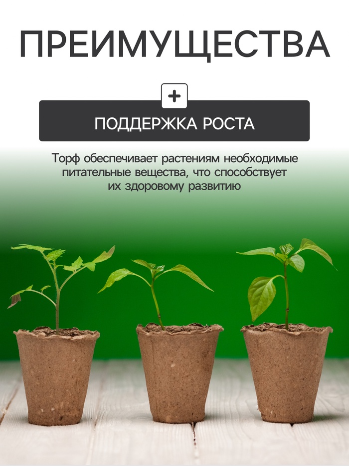 Набор для рассады: торфяной горшок 6×6 см, кассета на 40 ячеек, Greengo