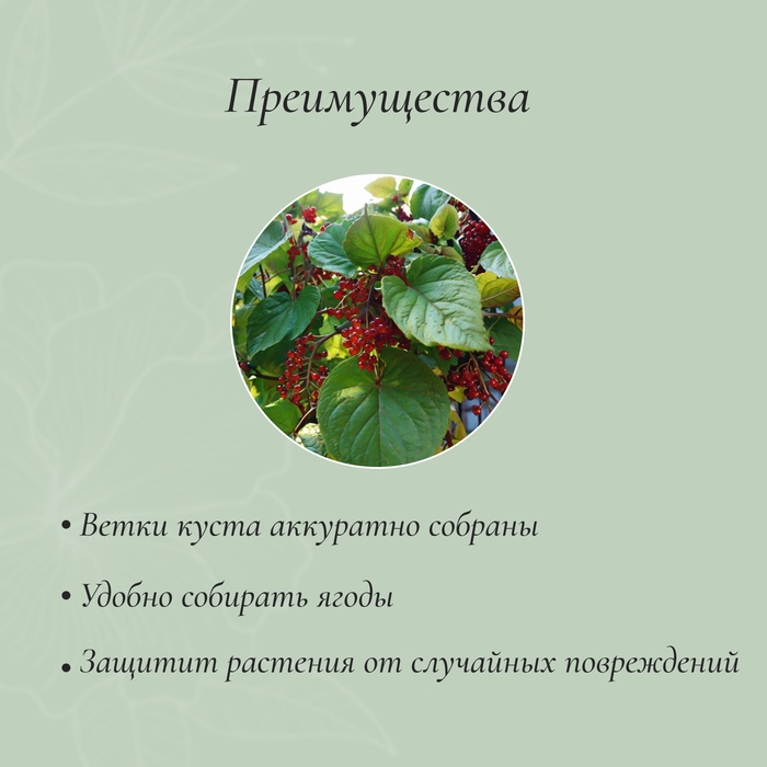 Кустодержатель, d=30 см, h=60 см, ножка d=0.3 см, металл, набор 2 шт., зелёный, Greengo